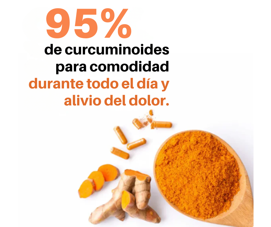 TURMERIC CURCUMIN 95
